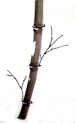 stem and branches