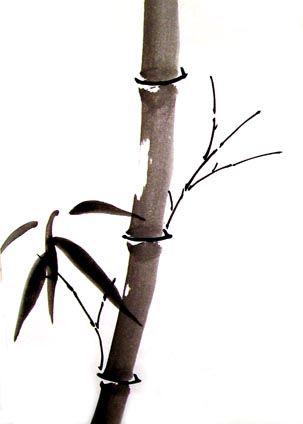 stems and lower leaves