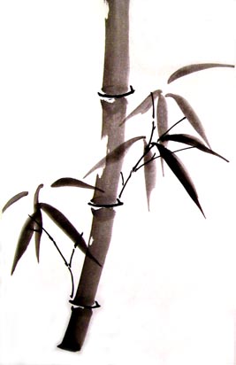 stems and upper leaves